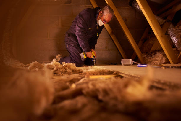 Best Commercial Insulation in Arnold, CA